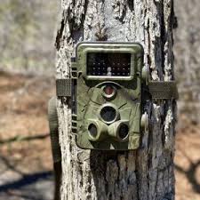Outdoor Electronics