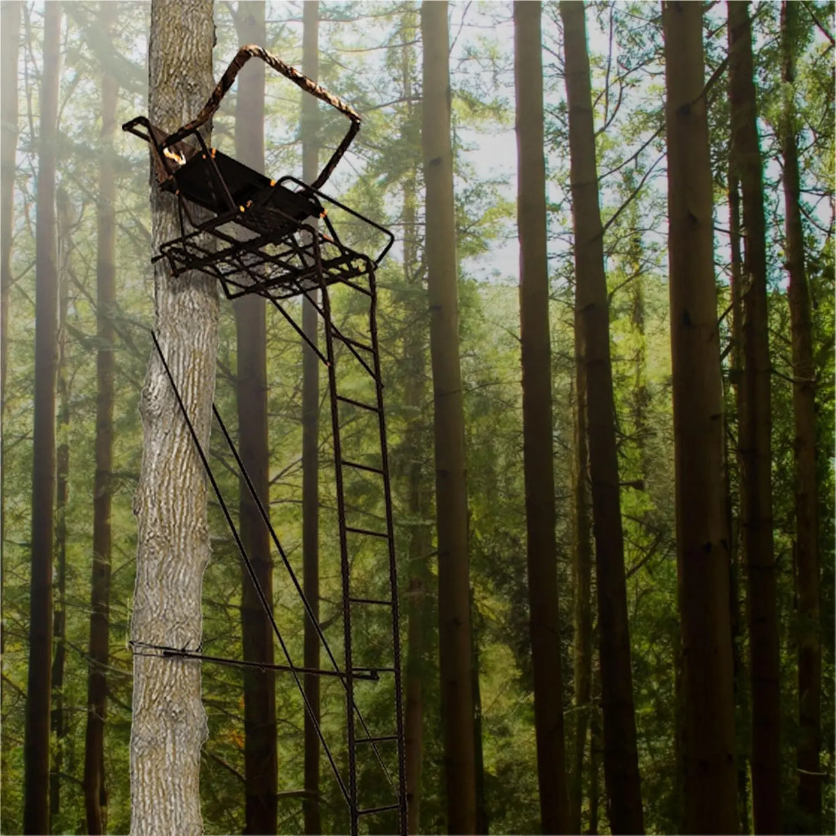 2-Person Ladder Tree Stand for Deer Hunting,17' Tall, Black, Custom