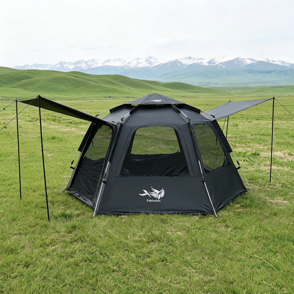 PAKICETUS Dome Camping Tent 2-5 Person Instant Setup 1 Minute Easy Assembly Double Doors Lightweight Portable Backpacking Tent for Outdoor Hiking